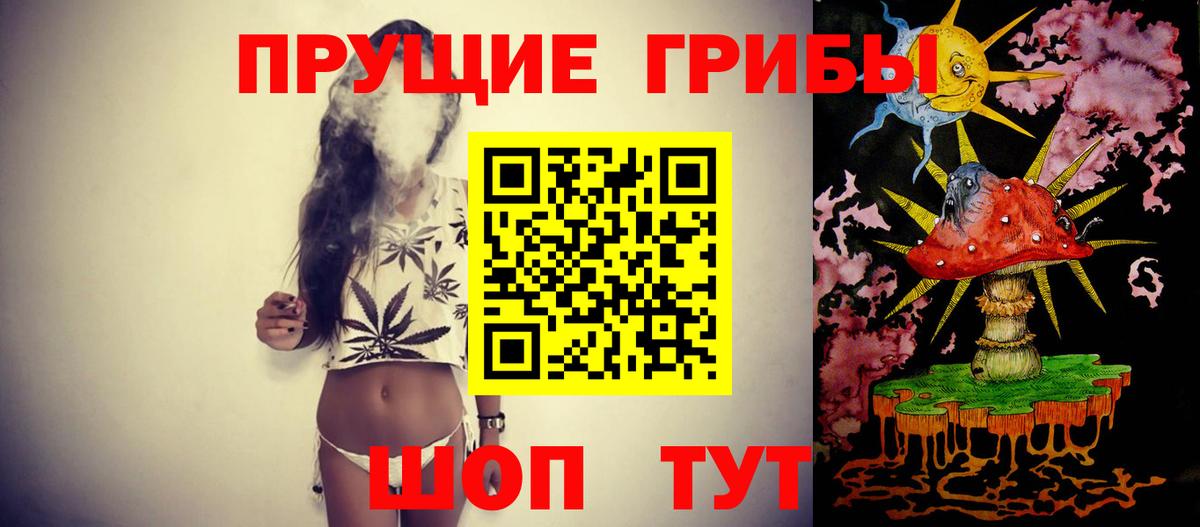 Бошки Шишки Ухта