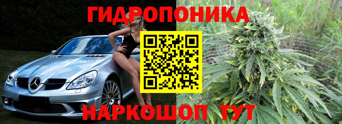 Каннабис Amnesia  Вход с VPN  Ухта  Марихуана конопля  Бошки марихуана VHQ 